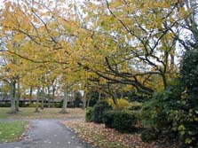 A photo of Hirst Park, Ashington