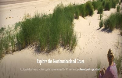 Image showing Northumberland Coast Area of Outstanding Natural Beauty