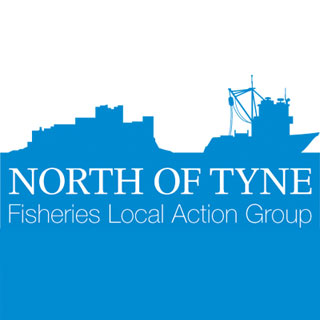 Image showing North of Tyne FLAG