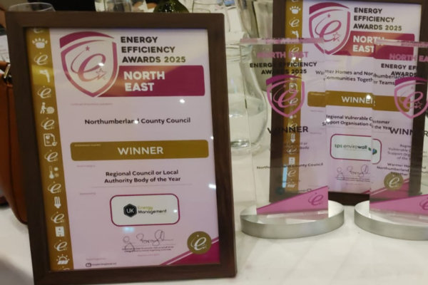 Image demonstrating Two award-wins for County Council  