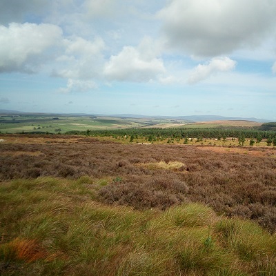 Peatland landscape in Northumberland