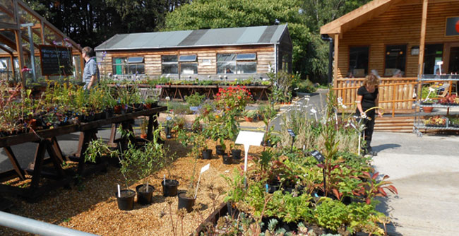 Hepscott main garden area filled with different plants