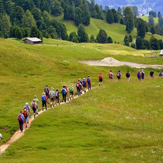 A line of people walking on a path in a field