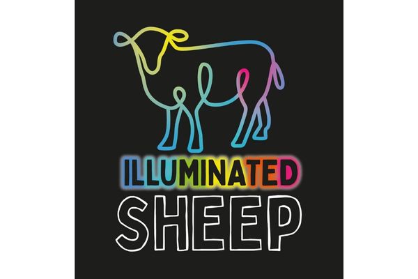 Illuminated Sheep Logo