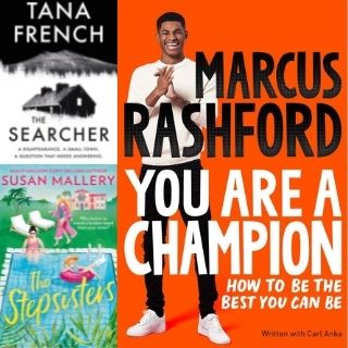 Book Covers for The Stepsisters, The Searcher and You are a Champion