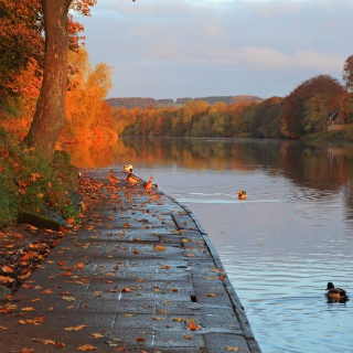 Image showing Relax at Tyne Green Country Park