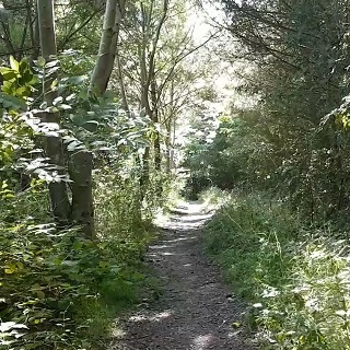 Image showing Enjoy a relaxing stroll