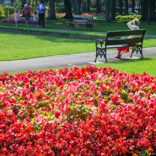 Image showing Events at Ridley Park