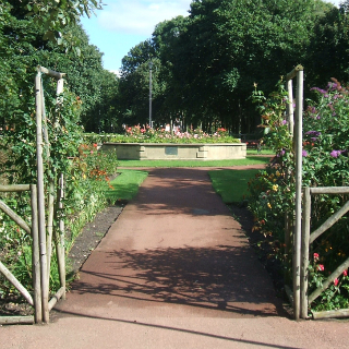 Image showing Woodland walks and wildflowers