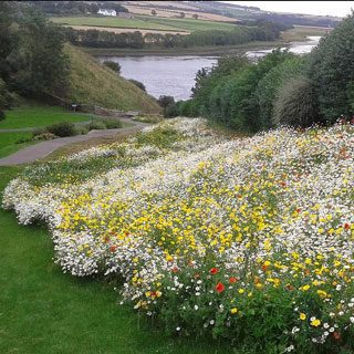 Image showing Castle Vale Park and Coronation Park, Berwick