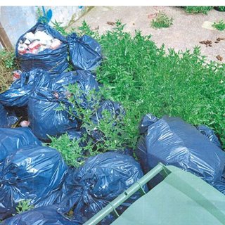 Image demonstrating Ashington resident fined after failing to clear up rubbish-filled garden  