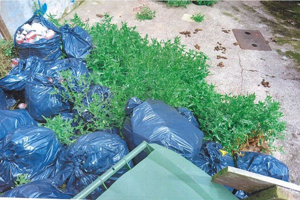 Image demonstrating Ashington resident fined after failing to clear up rubbish-filled garden  