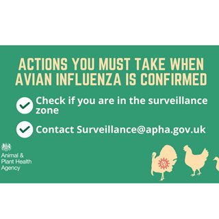 Image showing Public urged to follow rules to contain Avian flu outbreak in Northumberland 