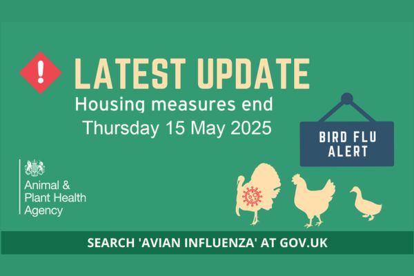 Image demonstrating Northumberland housing order lifted for poultry  