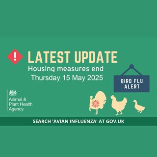Northumberland housing order lifted for poultry   