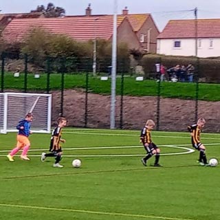 Image demonstrating Berwick’s 3G pitch is a big hit 