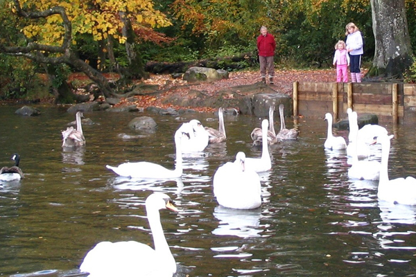 Image demonstrating County parks once again among the UK’s best  