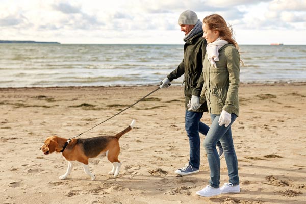 Image demonstrating Return of free waste bags for Green Dog Walkers 