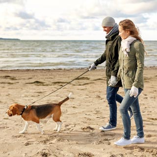 Image demonstrating Return of free waste bags for Green Dog Walkers 