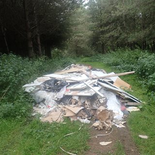 Image demonstrating Man fined after rubbish he had collected was fly tipped 