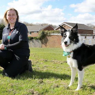 Image demonstrating Special event promotes responsible dog ownership