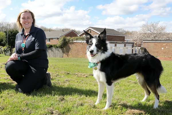 Image demonstrating Special event promotes responsible dog ownership