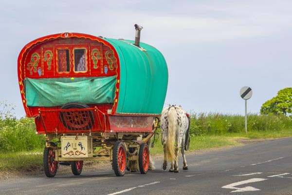 Image demonstrating Motorists beware of horse drawn wagons heading to Appleby  