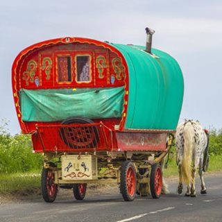 Image demonstrating Motorists beware of horse drawn wagons heading to Appleby    