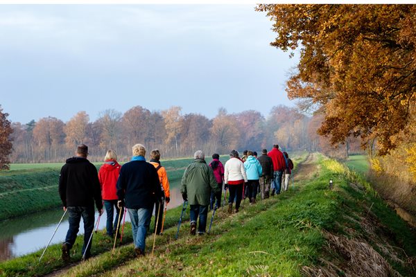 Image demonstrating Free health walks to boost mood and fitness 