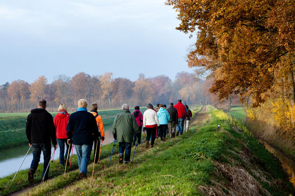 Image demonstrating Free autumn health walks to boost mood and fitness  