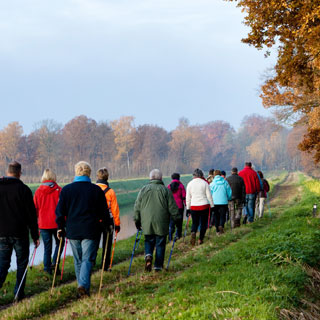 Image demonstrating Free autumn health walks to boost mood and fitness  