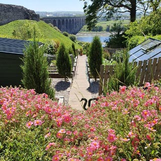 Image demonstrating Northumberland success in Bloom awards   