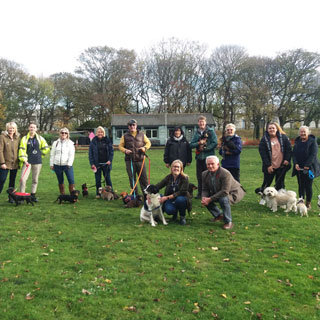 Dog walkers Ridley Park, Blyth