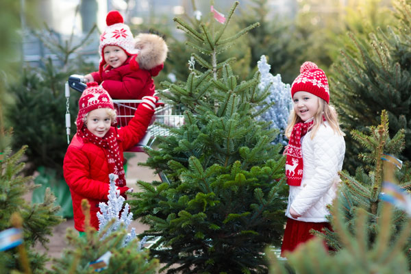 Christmas tree stock image