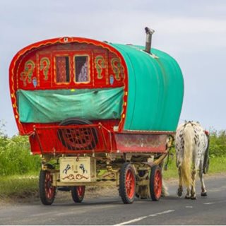 Image showing Motorists beware of horse drawn wagons heading to Appleby  
