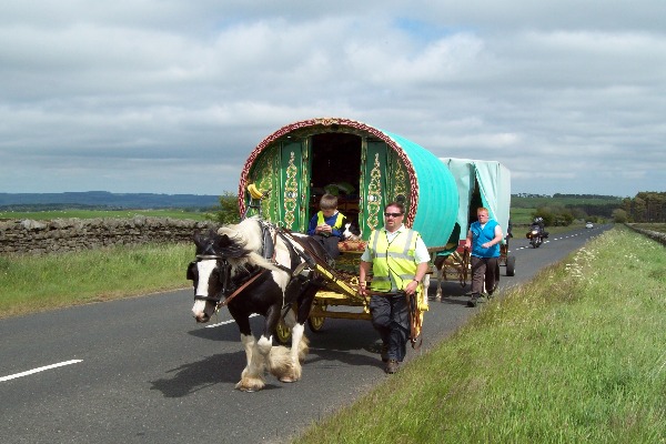 Image demonstrating Motorists to beware of horse drawn wagons returning from Appleby Horse Fair 