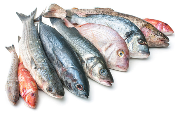 Image demonstrating Residents warned to beware of cold callers selling fish