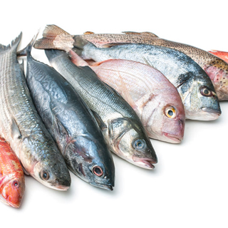 Image demonstrating Residents warned to beware of cold callers selling fish