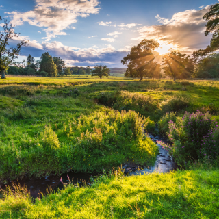 Image demonstrating Funding awarded to pioneering environmental and climate projects in Northumberland 