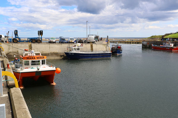 Seahouses Harbour