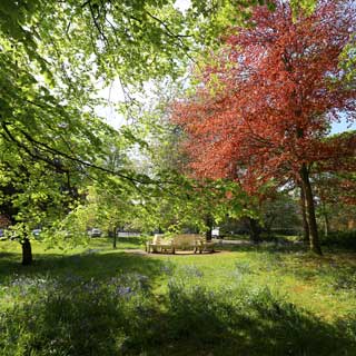 Image demonstrating County parks once again among the UK’s best green spaces