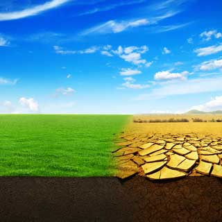 Grass and desert representing climate change