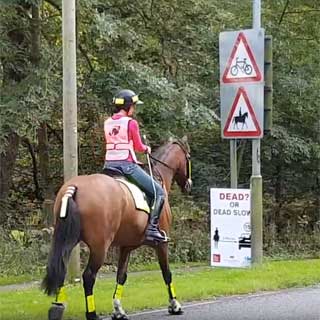 Image demonstrating County leading the way on keeping horses and riders safe