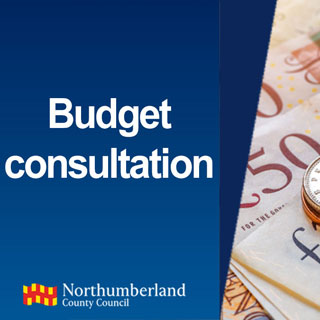 Budget consultation logo