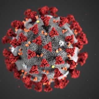 corona virus under microscope