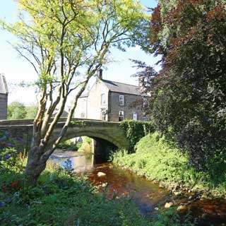 A countryside scene with bridge