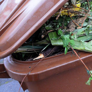 A garden waste bin