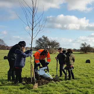 Children planting a tree