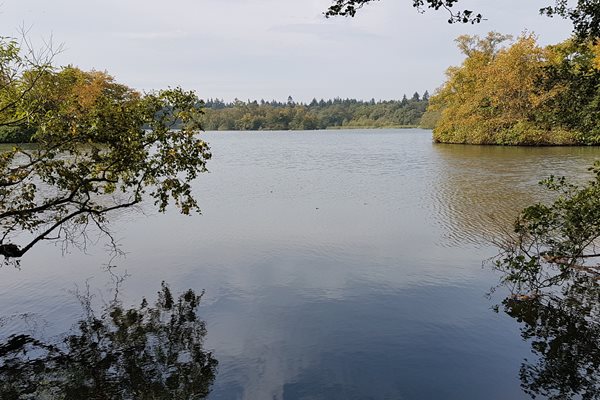 Bolam Lake Country Park