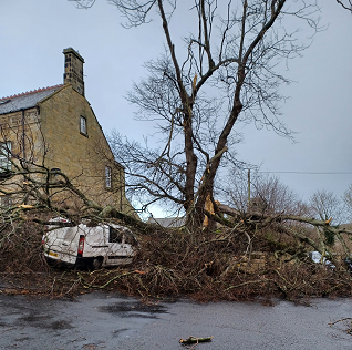 Storm Arwen damage